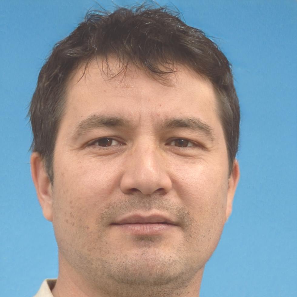 Dmitri Volkov - Risk Management Consultant